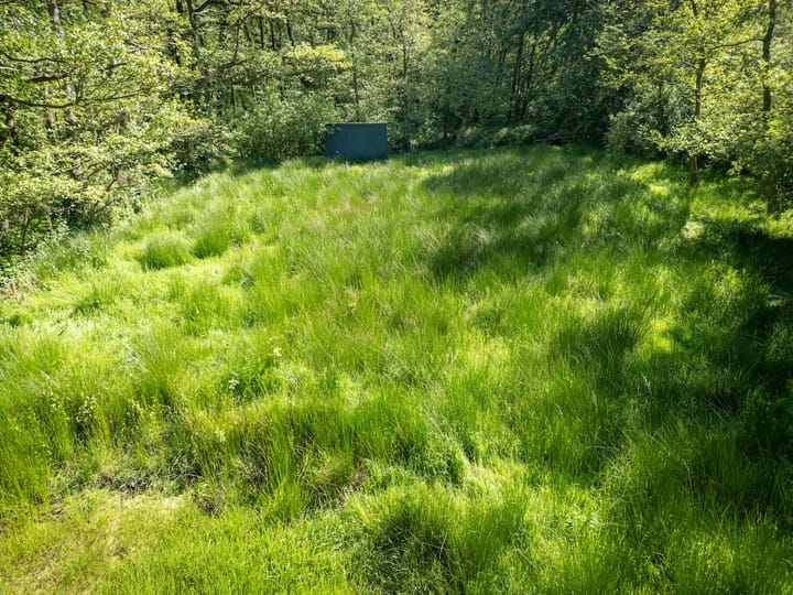 Foto 5 van Schilderweg 215-BIJ