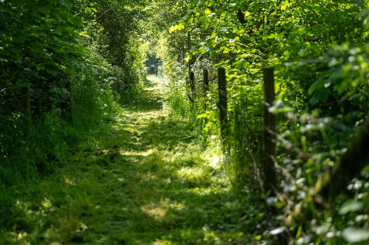 Foto 3 van Schilderweg 215-BIJ