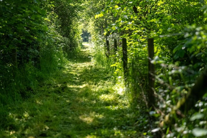 Bekijk foto 3 van Schilderweg 215-BIJ