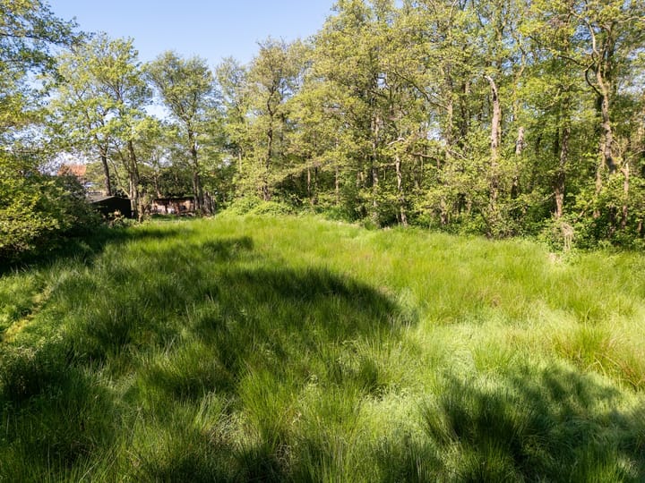 Foto 6 van Schilderweg 215-BIJ