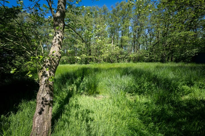 Foto 10 van Schilderweg 215-BIJ