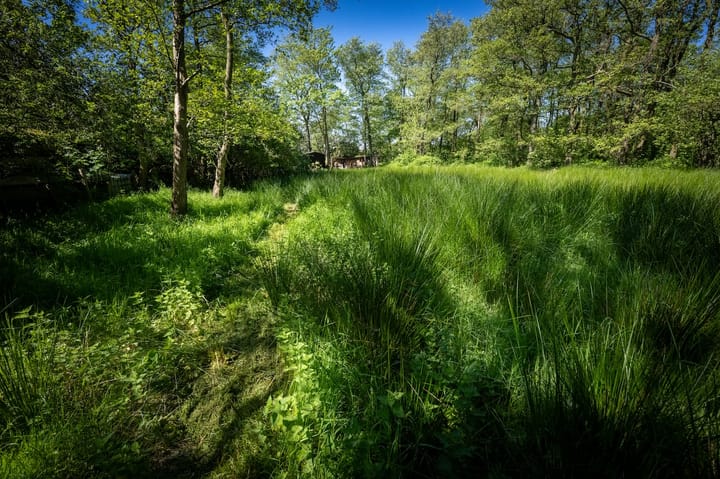 Foto 9 van Schilderweg 215-BIJ