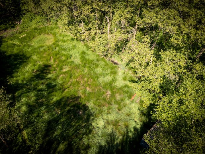 Foto 8 van Schilderweg 215-BIJ