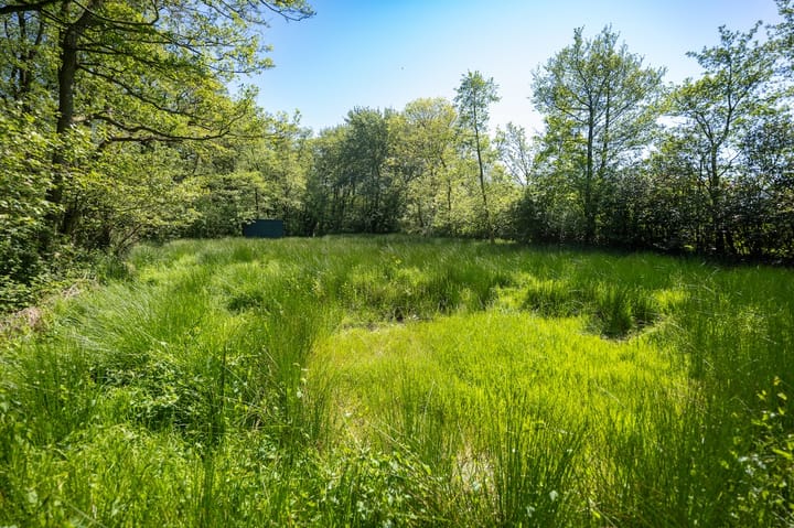 Foto 11 van Schilderweg 215-BIJ