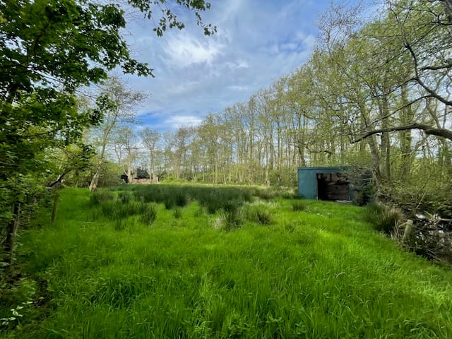 Foto 13 van Schilderweg 215-BIJ