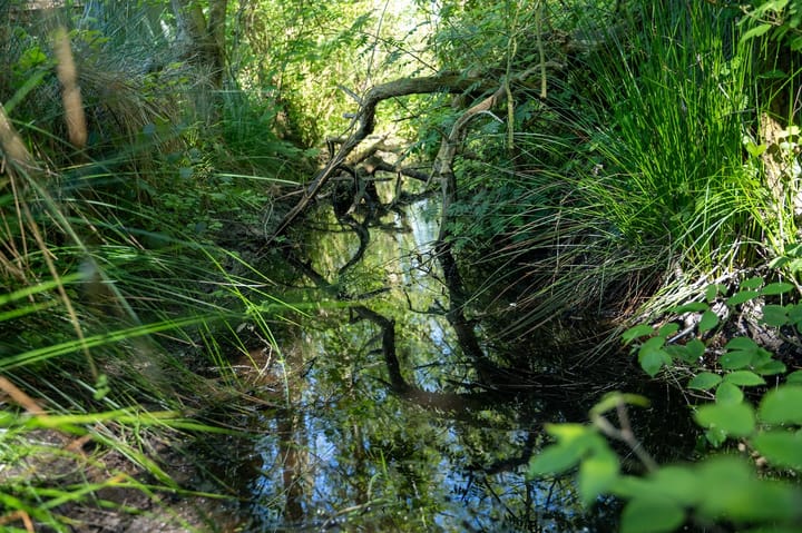 Foto 14 van Schilderweg 215-BIJ