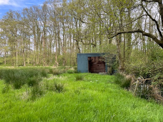 Foto 12 van Schilderweg 215-BIJ