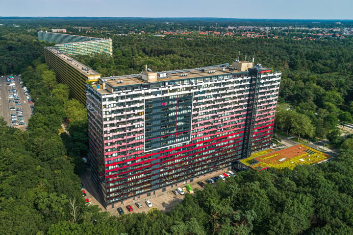 Bekijk foto 1 van Laan van Vollenhove 450