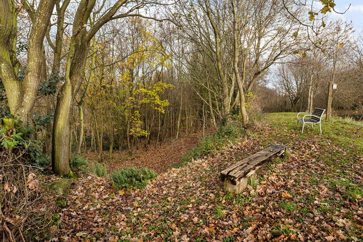 Bekijk foto 38 van Dorpsweg 50