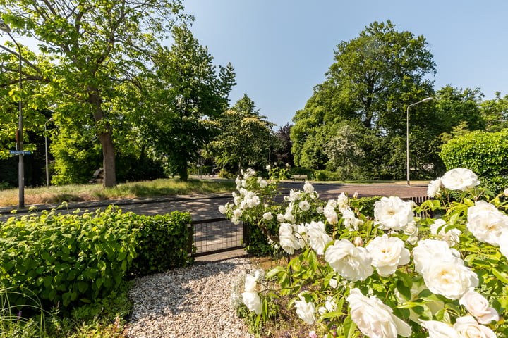 Bekijk foto 45 van Bronsteeweg 104