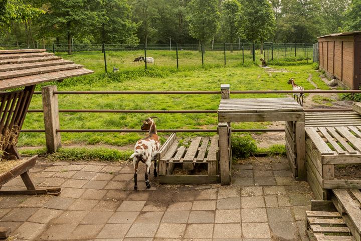 Bekijk foto 36 van Marco Polostraat 108-H