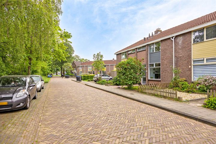 Bekijk foto 4 van Burgemeester Mackaystraat 3