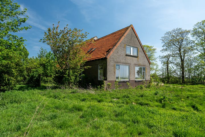 Foto 8 van Janssen-Stichting 6