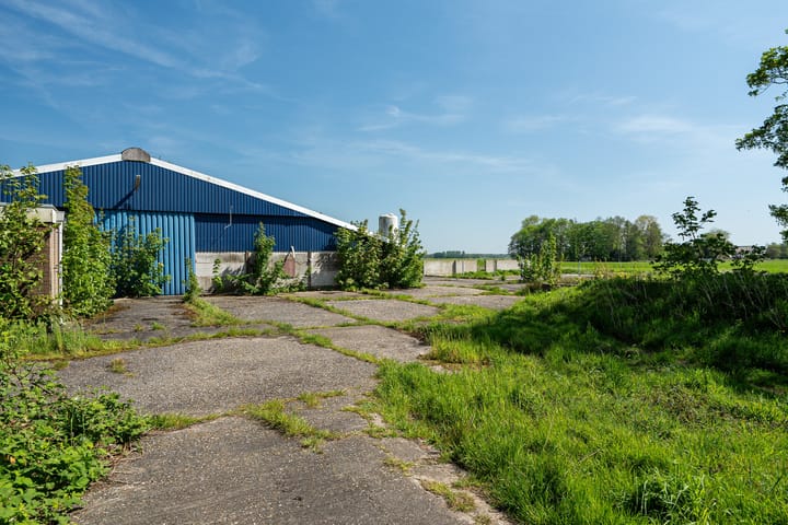 Foto 10 van Janssen-Stichting 6