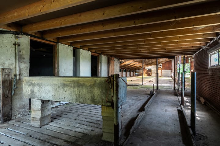 Foto 35 van Janssen-Stichting 6