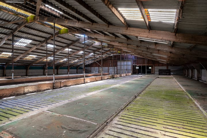 Foto 36 van Janssen-Stichting 6