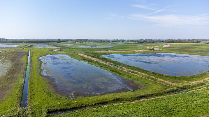 Foto 40 van Janssen-Stichting 6