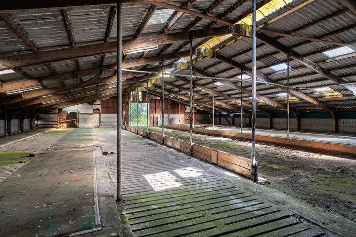 Foto 37 van Janssen-Stichting 6