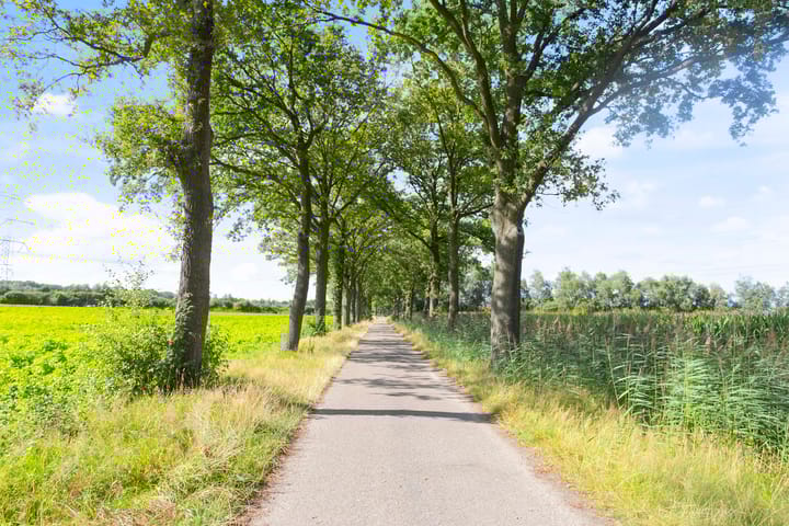 Foto 9 van Brandsbeemdseweg bouwkavel 3