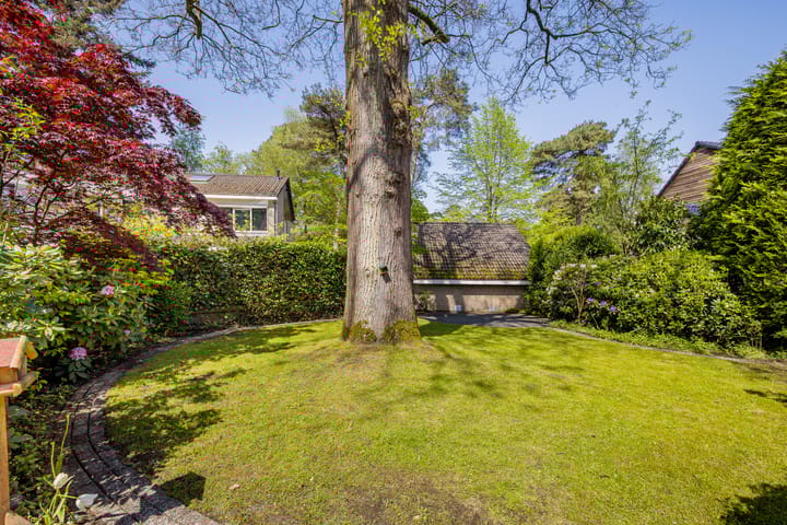 Foto 52 van Bilderdijklaan 3