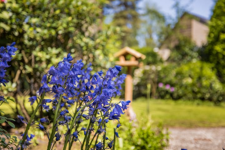 Foto 55 van Bilderdijklaan 3