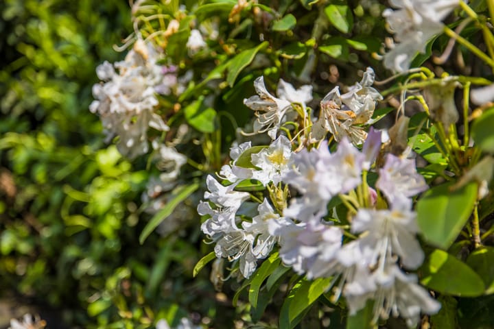 Foto 57 van Bilderdijklaan 3