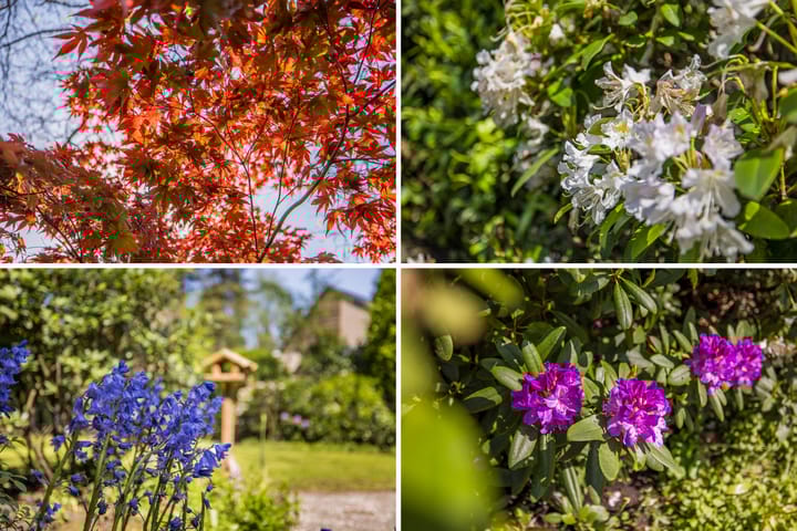 Foto 58 van Bilderdijklaan 3