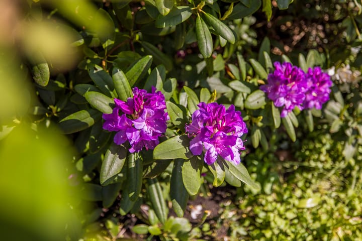 Foto 56 van Bilderdijklaan 3