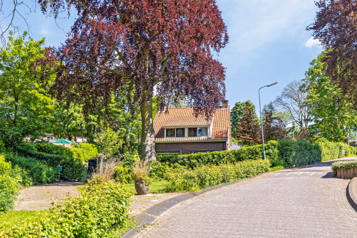 Foto 41 van Koningin Elisabethplantsoen 4