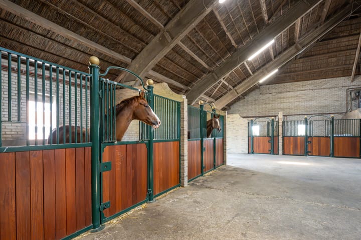 Foto 2 van Molendijk 19