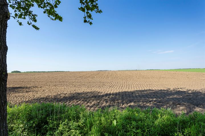 Bekijk foto 3 van Dikbosstraat 37