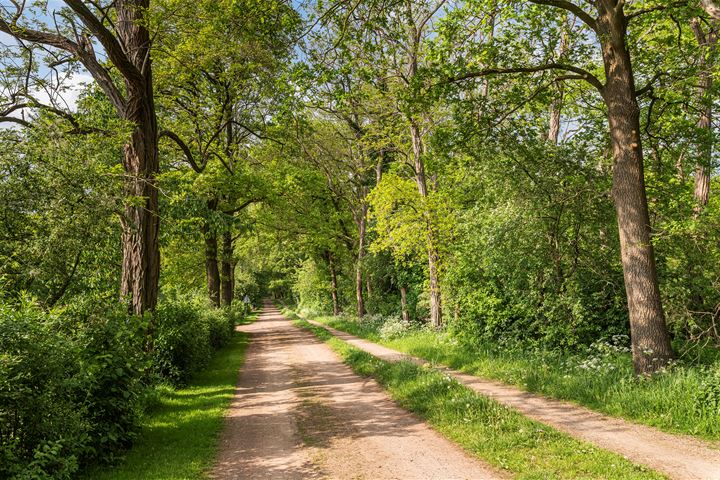 Bekijk foto 32 van Goorseweg 45