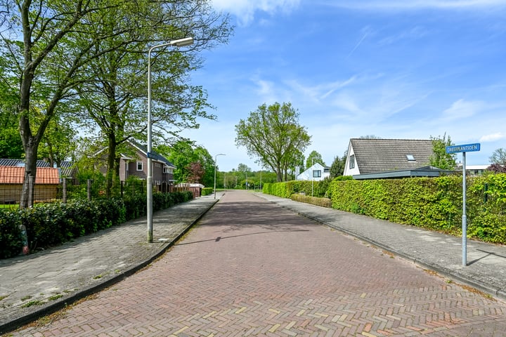 Bekijk foto 50 van Dreefplantsoen 4