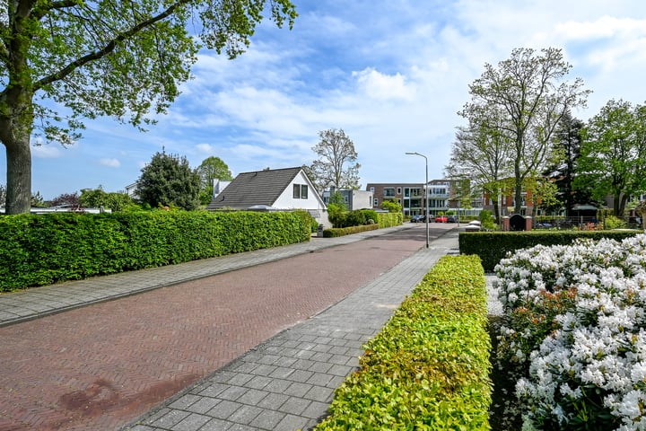 Bekijk foto 52 van Dreefplantsoen 4