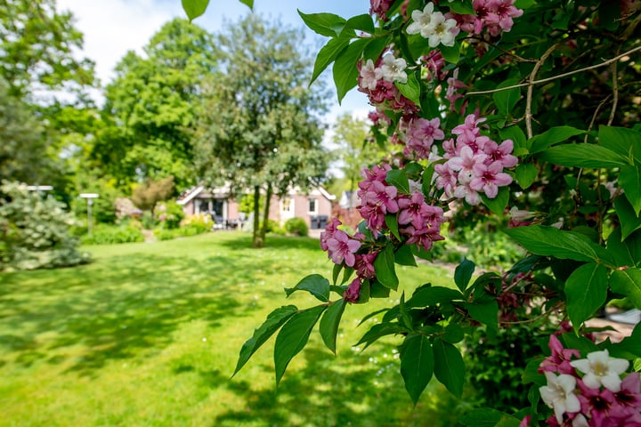 Bekijk foto 4 van Harpelerweg 39