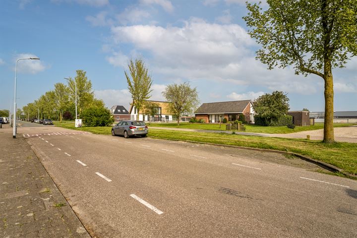 Bekijk foto 43 van Rijshornstraat 98