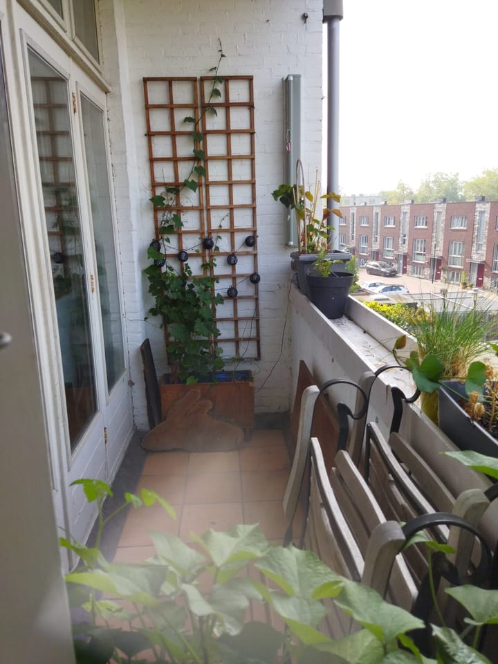 Foto 16 van Lange Nieuwstraat 41-B2