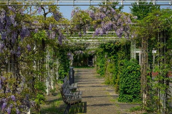 Bekijk foto 31 van Riet Hof-Brouwerstraat 71