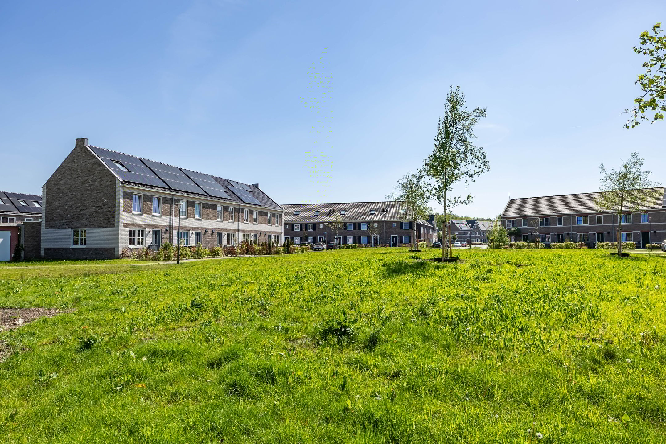 Photo 6 of Pronkridder 31