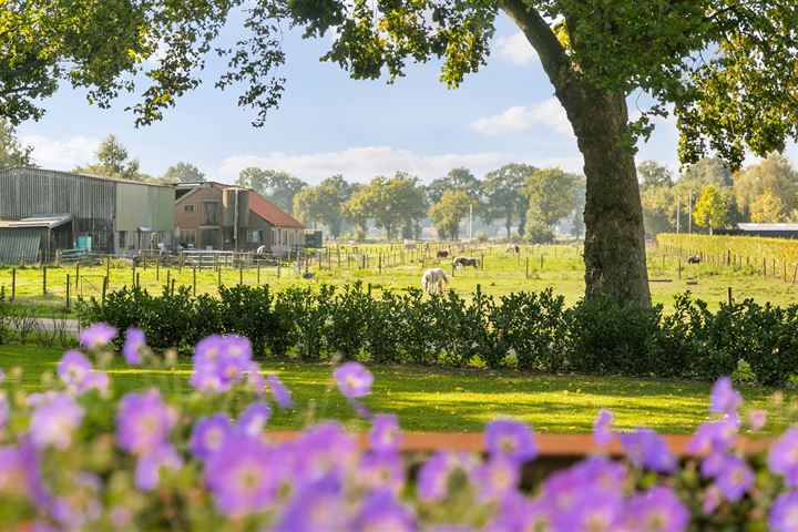 Bekijk foto 41 van Middelbuurtseweg 15