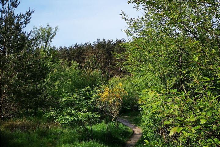 Bekijk foto 31 van M.C.Verloopweg 60-II