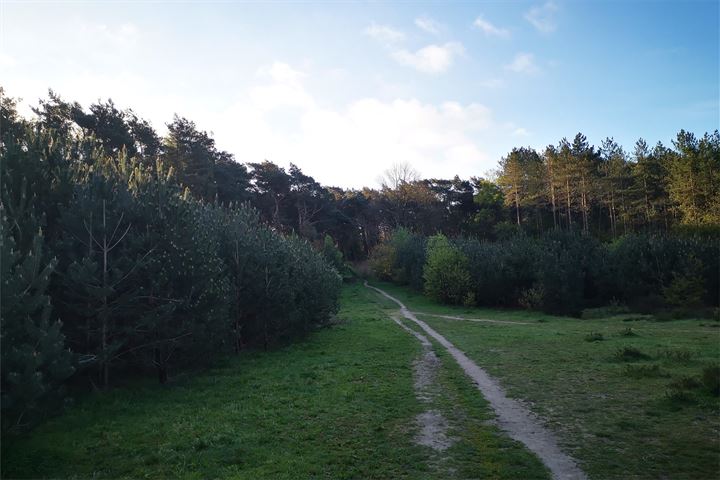 Bekijk foto 34 van M.C.Verloopweg 60-II