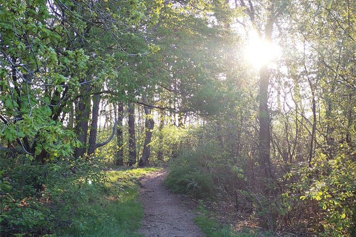 Bekijk foto 35 van M.C.Verloopweg 60-II