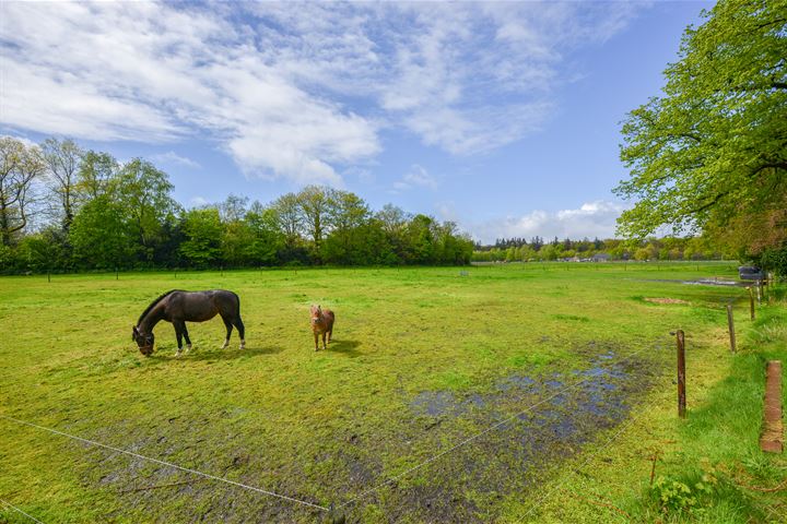 Bekijk foto 21 van Koninginnelaan 26-05