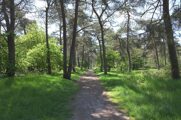 Bekijk foto 94 van Parallelweg 26-233