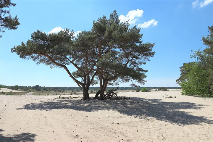 Bekijk foto 95 van Parallelweg 26-233