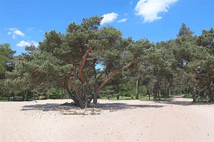 Bekijk foto 102 van Parallelweg 26-233