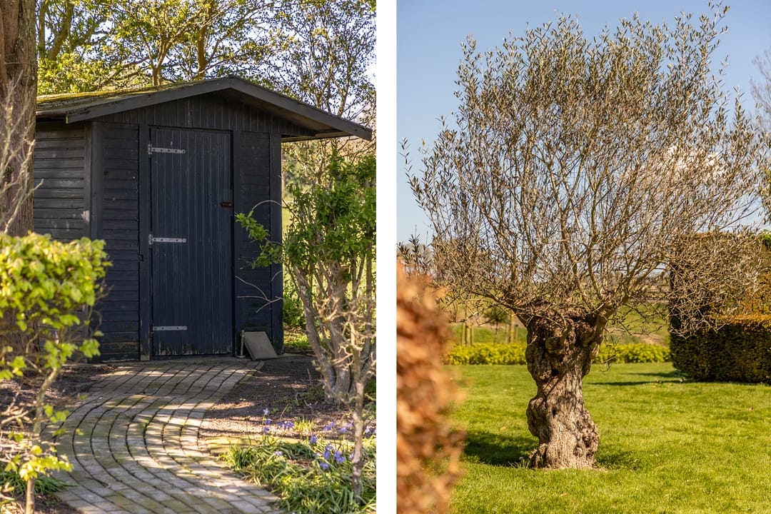 Foto 52 van Nieuw Rockanjesedijk 1-A