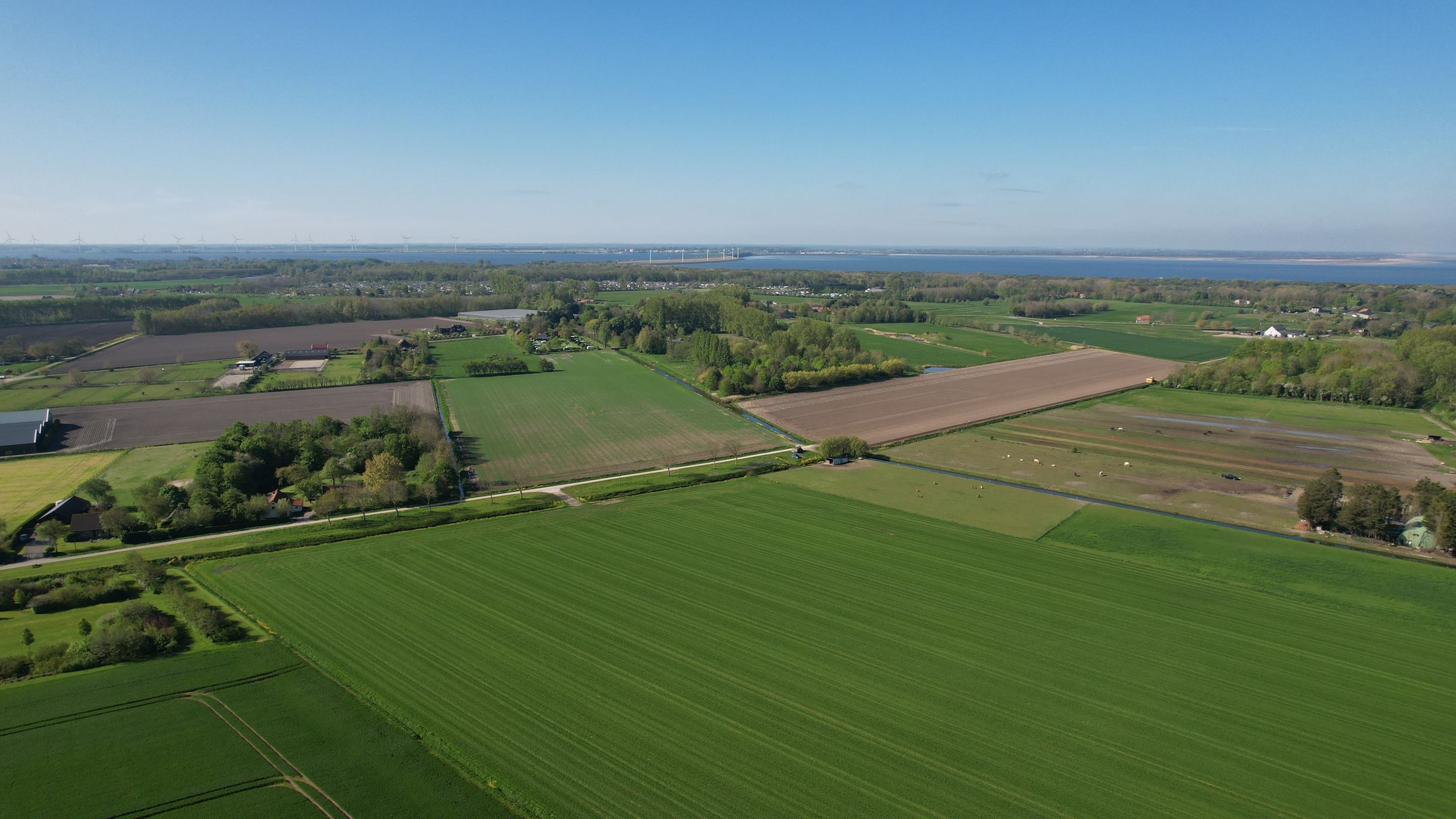 Foto 66 van Nieuw Rockanjesedijk 1-A