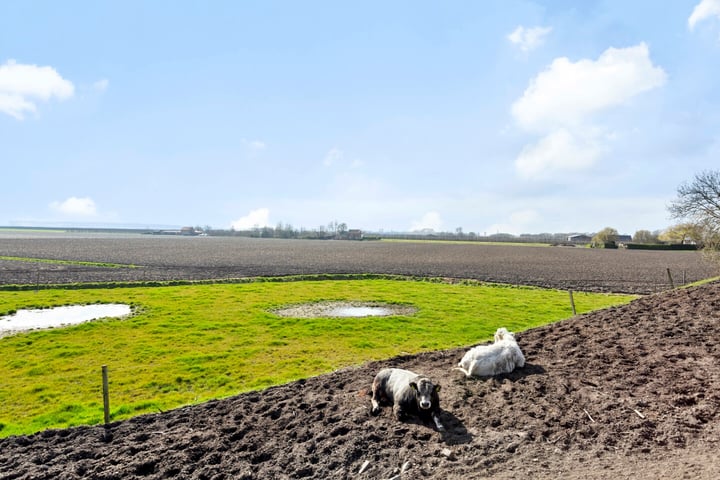 View photo 61 of Kruislandsedijk 28